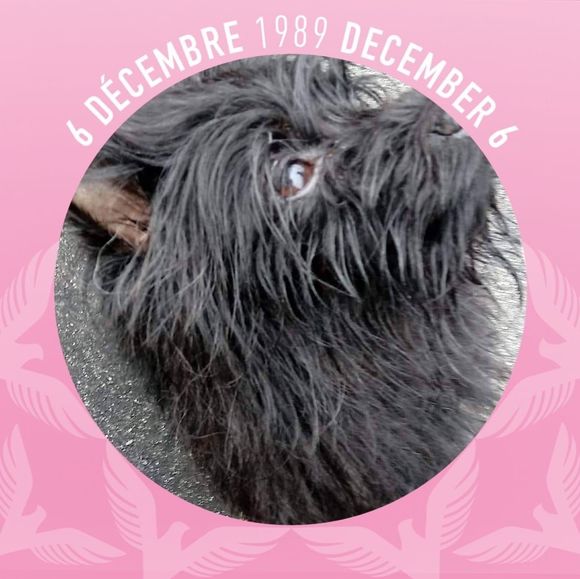 Meet your Posher, Beth - Picture 1 of 1